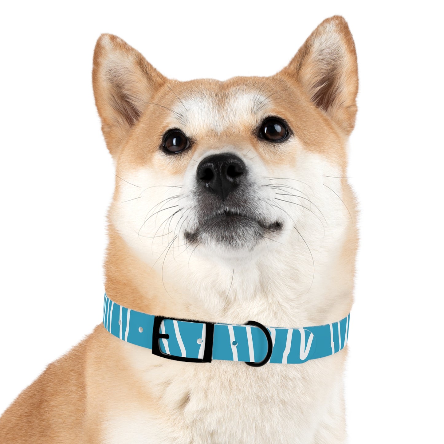 Copy of Manifest Dog Collar