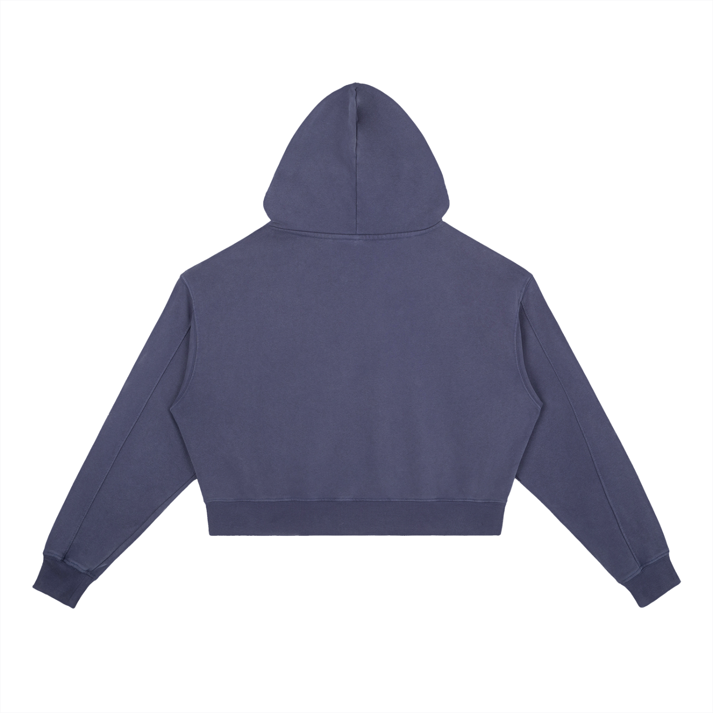 Manifest Club Crop Hoodie