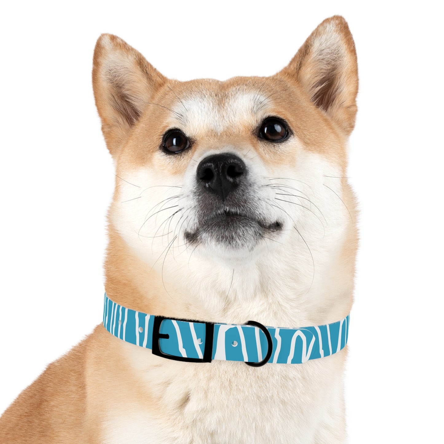 Copy of Manifest Dog Collar