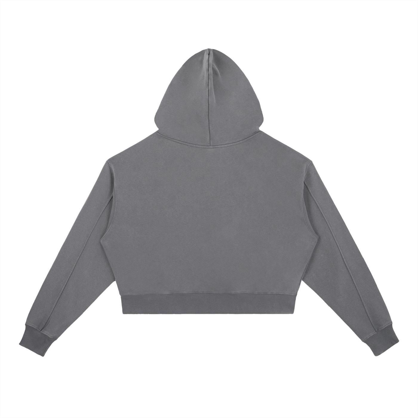 Manifest Club Crop Hoodie