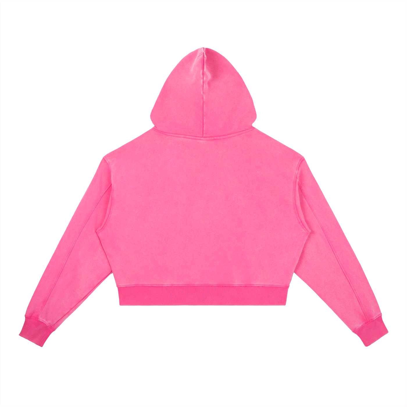 Manifest Club Crop Hoodie