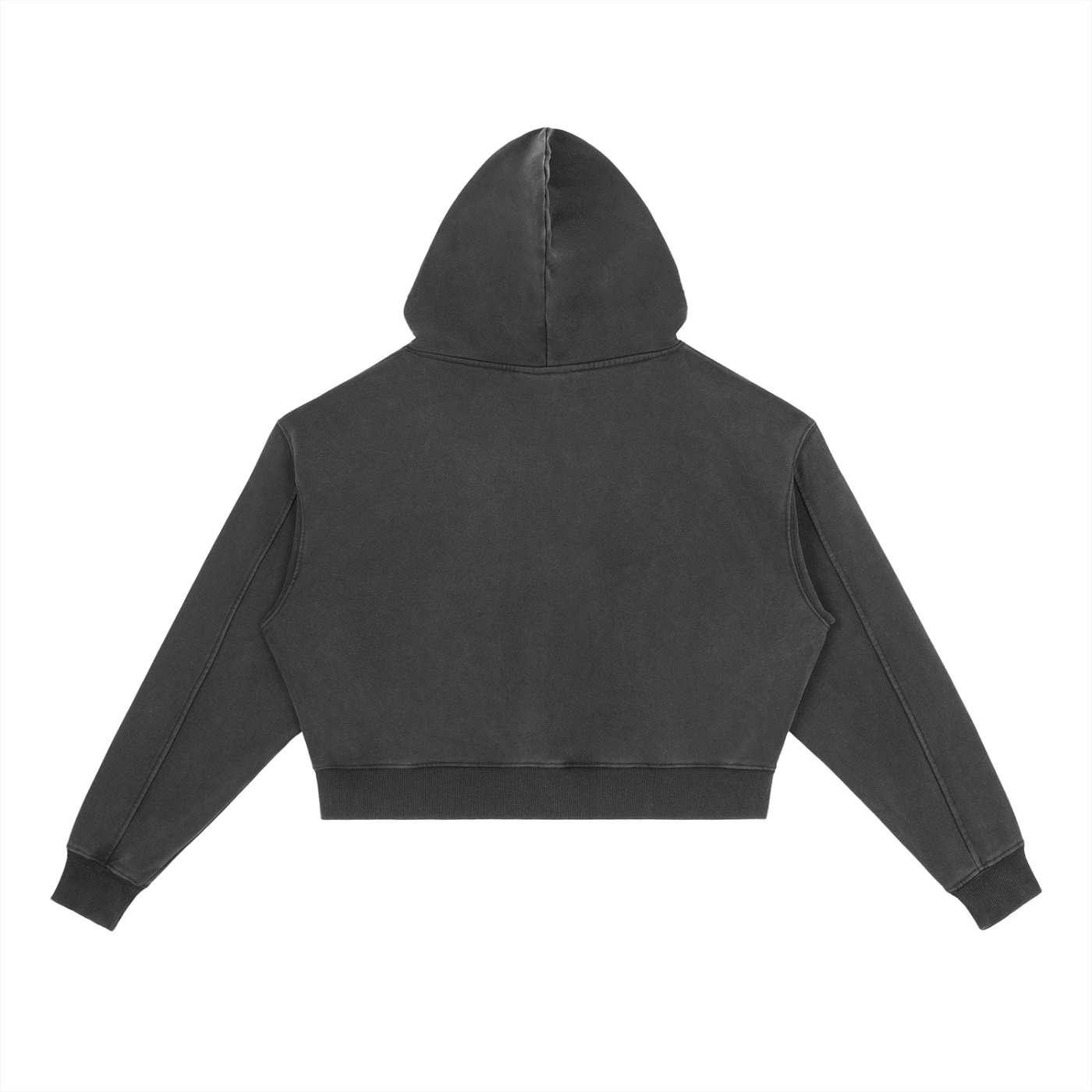 Manifest Club Crop Hoodie